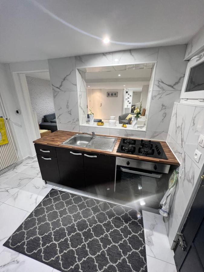 Appartement Proche Marche De Noel De Strasbourg Wolfisheim 외부 사진